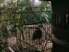 -豆舞咖啡(民乐路店)