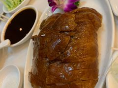 -九花山烤鸭店