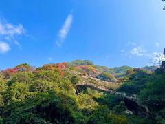-朱雀国家森林公园