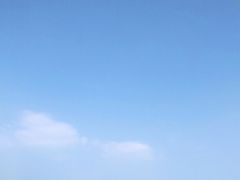 -杨梅坑
