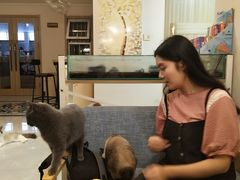 -有猫儿腻咖啡厅.猫咖