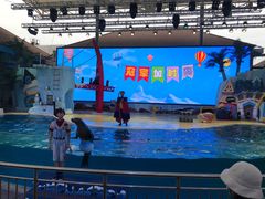 -三亚海昌梦幻海洋不夜城