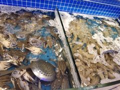 -乔哥铭洋海鲜自助(皇城恒隆广场店)