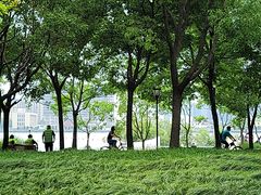 -上海山野camping·户外天幕烧烤·团建拓展营地