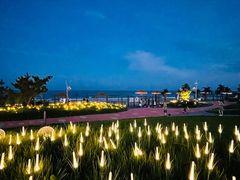 -第34届青岛国际啤酒节
