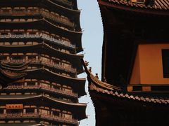 -红梅公园