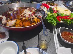 -京城·森鸽排档(双井店)