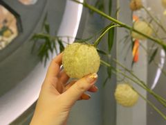 -茶力的小怪兽(梅林卓悦汇店)