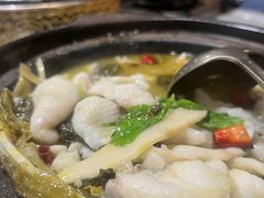 -陶德砂锅(蜀汉路店)