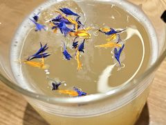 -Echo回声黑胶唱片咖啡馆