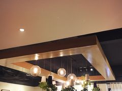 -柴务处·柴犬主题狗咖