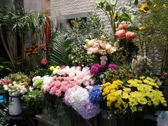 -杭州街角花屋花店(闻堰店)