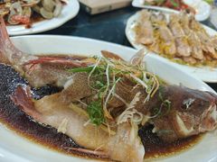 清蒸石斑鱼-小海豚•老字号海鲜餐厅(天涯店)