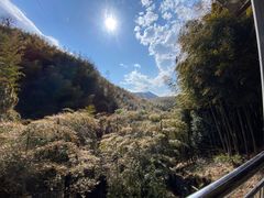 -藏龙百瀑风景区