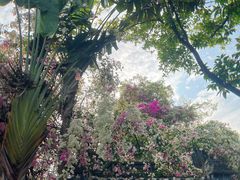 -深圳国际园林花卉博览园