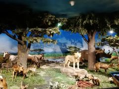 -国家自然博物馆