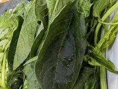 -新乡杨记红焖羊肉火锅(天坛南门店)