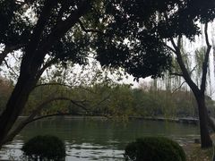 西湖天地-西湖天地