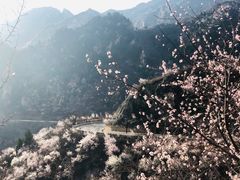 -碓臼峪自然风景区