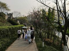 -重庆彩云湖湿地公园