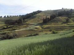 -芦芽山旅游度假区