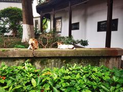 -南京中国近代史遗址博物馆(南京总统府)