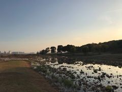 -苏州金鸡湖大酒店