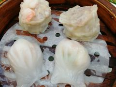 -柳饮·春柳酒家