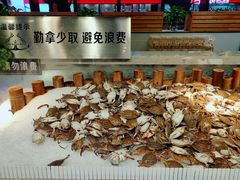 小飞蟹-圣罗巴海鲜烤肉自助(佳兆业店)