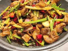 干锅肥肠-东北本家小厨(海甸三东路店)