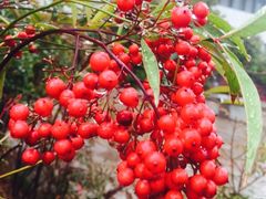 -齐汇维景大酒店游泳馆(山东政协大厦齐汇维景)