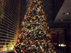 康莱德酒店-北京康莱德酒店