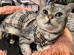 -小时光咖啡馆(北锣鼓巷店)