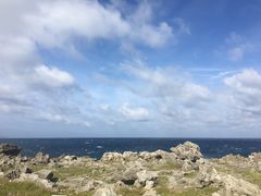 -龙坑生态保护区