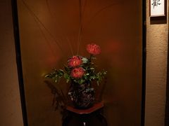 -觀芷隐轩