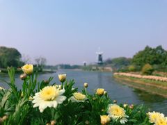 -上海鲜花港