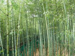 -陶祖圣境风景区