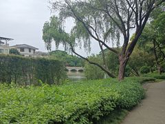 -顺峰山公园