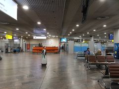 -谢列梅捷沃国际机场