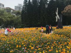 -晓港公园