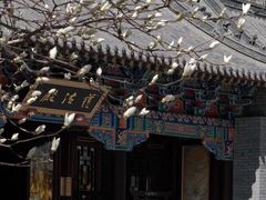 -护国法轮寺