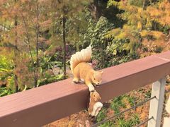 -云溪植物园