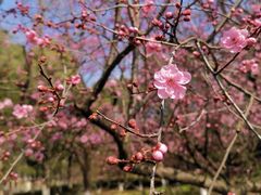 -白塘生态植物园