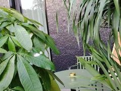 -观宴·品质赣菜(高新大道店)