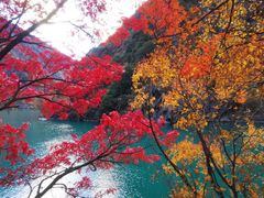 -叠溪松坪沟景区