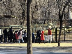 -秦皇岛野生动物园