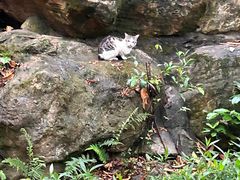 -顺峰山公园