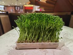 -捞神汤物料理(正大广场店)