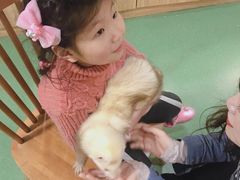 -藦茜花园宠物主题亲子互动体验馆(国顺东路店)