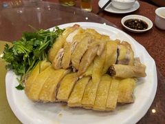 -瑞记湛江鸡饭店·粤西第一鸡(粤垦店)